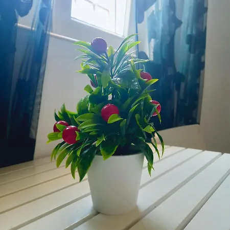 Sea View Lejlighed Málaga